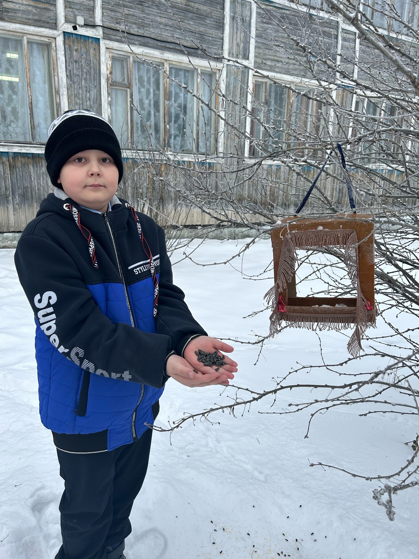 Акция «Накормим птиц зимой».