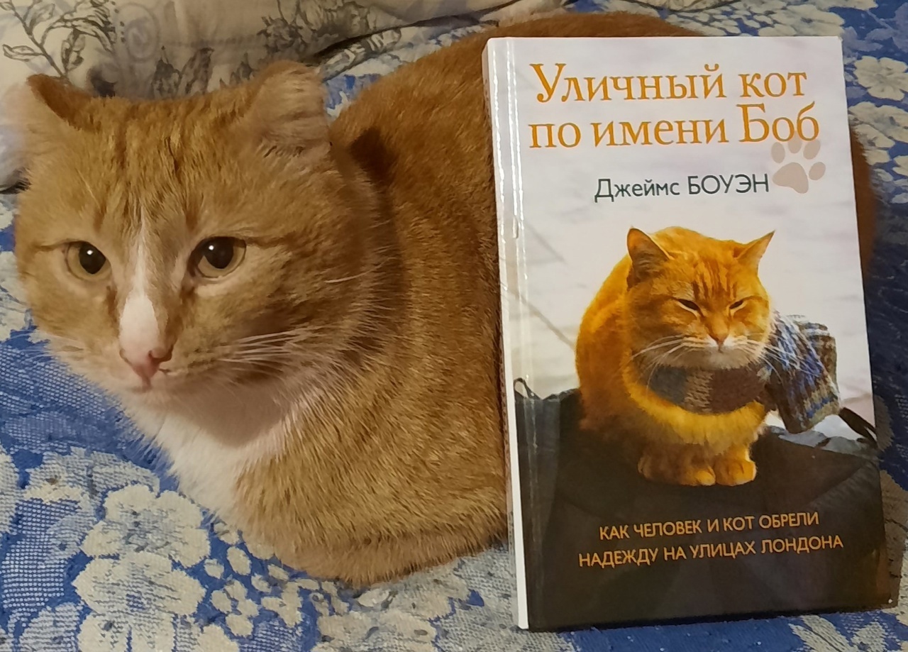 Фотоконкурс «Мой питомец в книге».